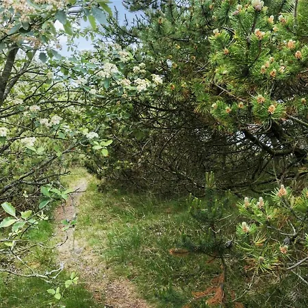 Bv151-blavand-hedetoftvej-116 度假居 布拉万德