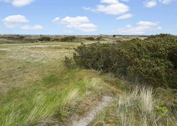 Bv151-blavand-hedetoftvej-116 Hébergement de vacances *